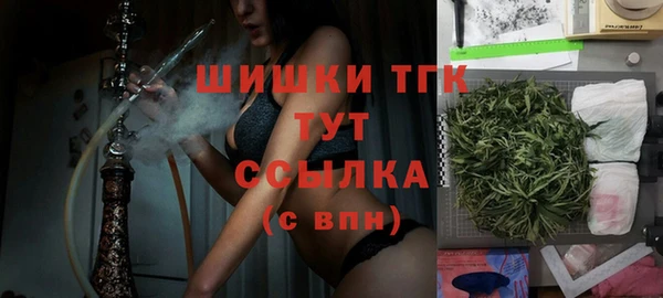 jwh Пересвет
