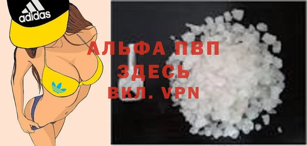 jwh Пересвет