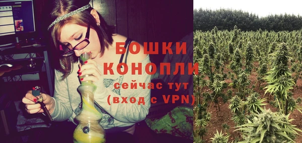 ГАЛЛЮЦИНОГЕННЫЕ ГРИБЫ Переславль-Залесский