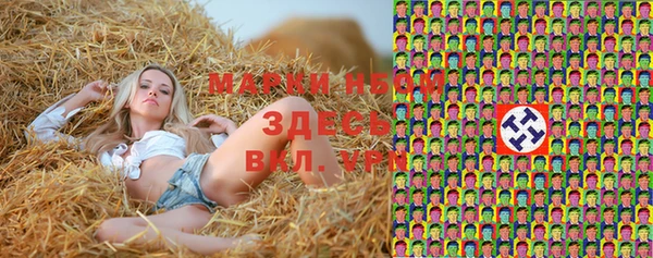 сатива Пестово