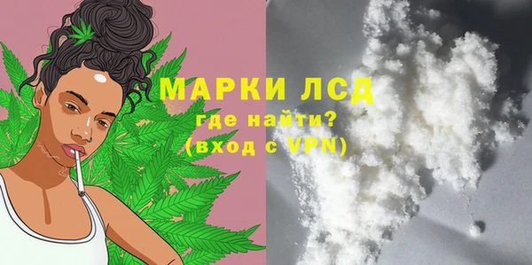 индика Гусиноозёрск