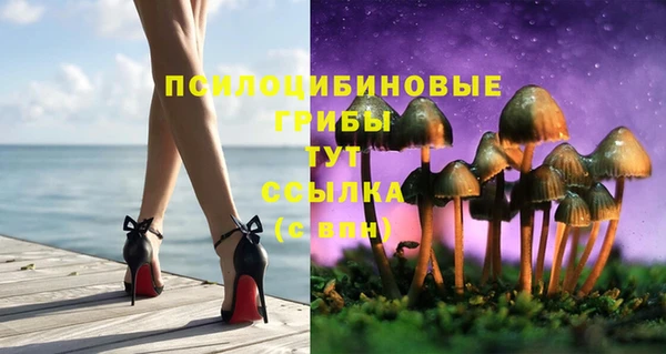 jwh Пересвет