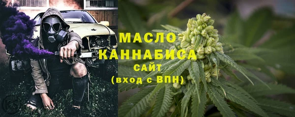 индика Гусиноозёрск