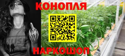 скорость Гатчина