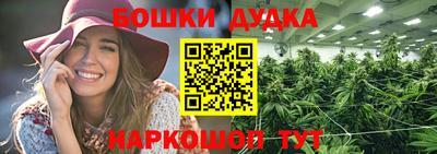 прущие крисы Абакан
