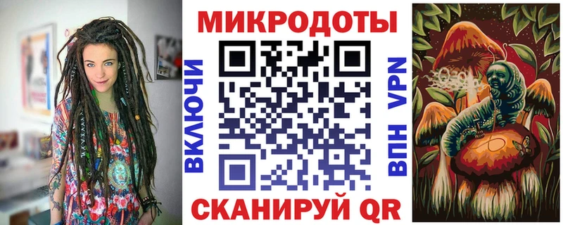 Псилоцибиновые грибы Psilocybe Азнакаево