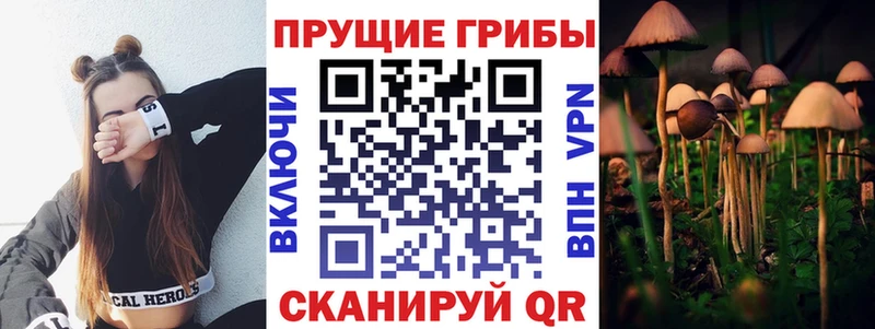 Псилоцибиновые грибы Psilocybe  Азнакаево 