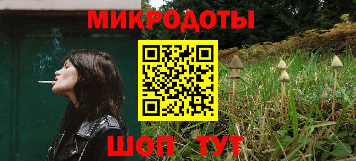 Псилоцибиновые грибы Psilocybe Азнакаево