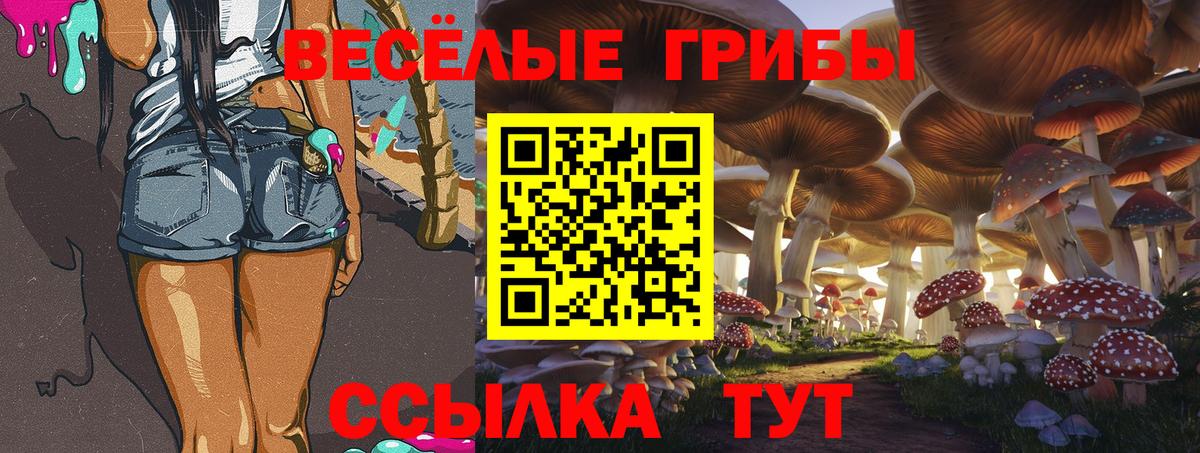 Псилоцибиновые грибы Psilocybine cubensis  Галлюциногенные грибы мухоморы  Азнакаево 