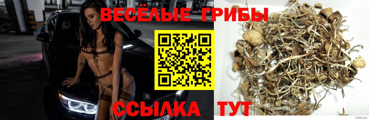 Галлюциногенные грибы Magic Shrooms  Галлюциногенные грибы ЛСД  Азнакаево  Вход с VPN 